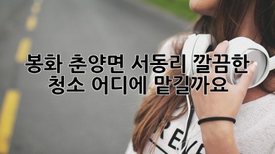 봉화 춘양면 서동리 깔끔한 청소, 어디에 맡길까요?