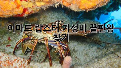 이마트 랍스터: 가성비 끝판왕 찾기